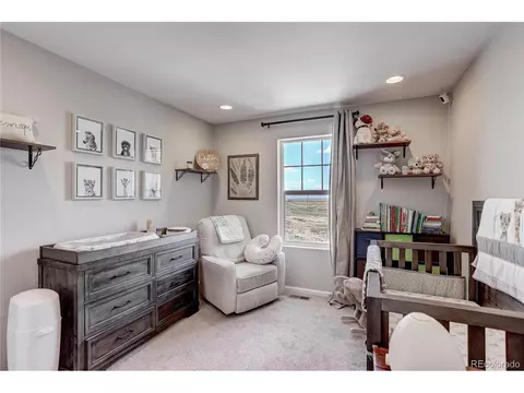 19192 E 65th Pl, Denver, CO 80249 photo 26