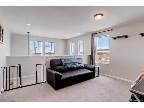 19192 E 65th Pl, Denver, CO 80249 photo 16