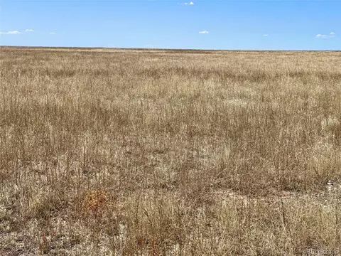 County Road 3, Rush, CO 80833 photo 2