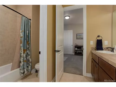 16225 Ivanhoe St, Brighton, CO 80602 photo 27