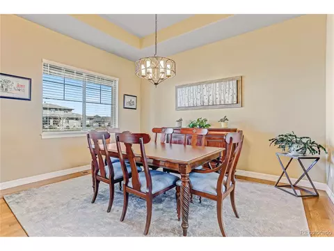 16225 Ivanhoe St, Brighton, CO 80602 photo 8