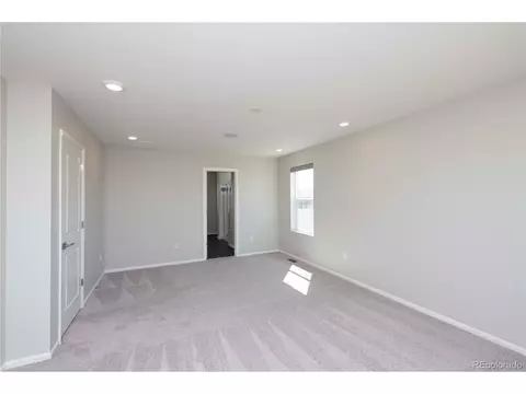 3335 Switchgrass St, Dacono, CO 80514 photo 19