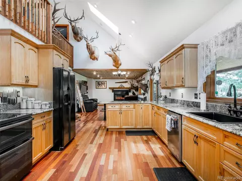 503 Conestoga Rd, Bailey, CO 80421 photo 5