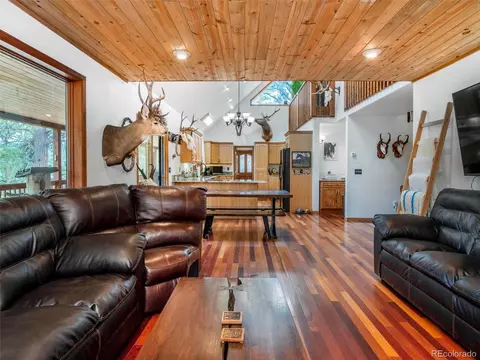 503 Conestoga Rd, Bailey, CO 80421 photo 18