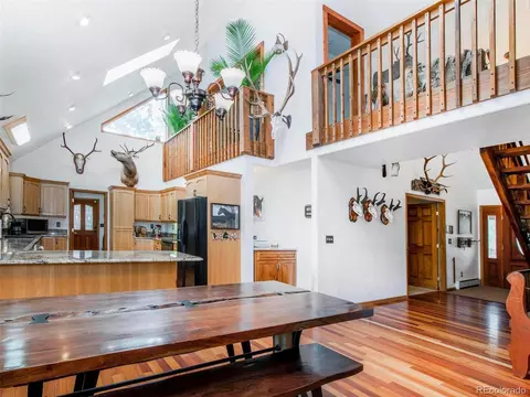 503 Conestoga Rd, Bailey, CO 80421 photo 17