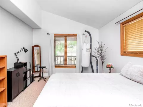 503 Conestoga Rd, Bailey, CO 80421 photo 30
