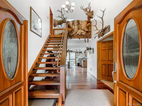 503 Conestoga Rd, Bailey, CO 80421 photo 11