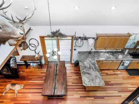 503 Conestoga Rd, Bailey, CO 80421 photo 14