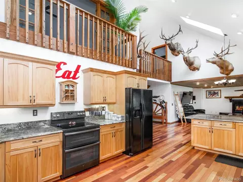 503 Conestoga Rd, Bailey, CO 80421 photo 6