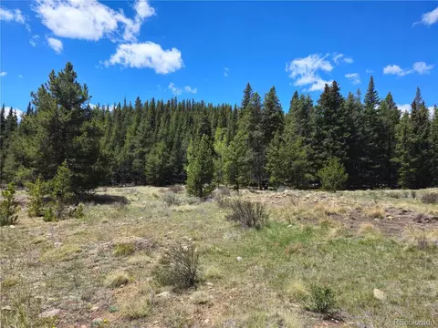 Looney Ln, Fairplay, CO 80440
