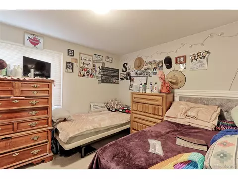 1405 E 97th Pl, Thornton, CO 80229 photo 10