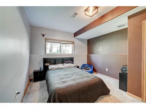 249 Yellow Pine Dr, Bailey, CO 80421 photo 14