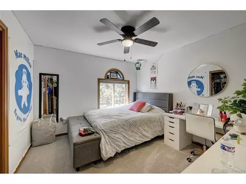249 Yellow Pine Dr, Bailey, CO 80421 photo 10