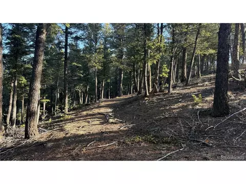 461 Paradiso Rd, Divide, CO 80814 photo 19