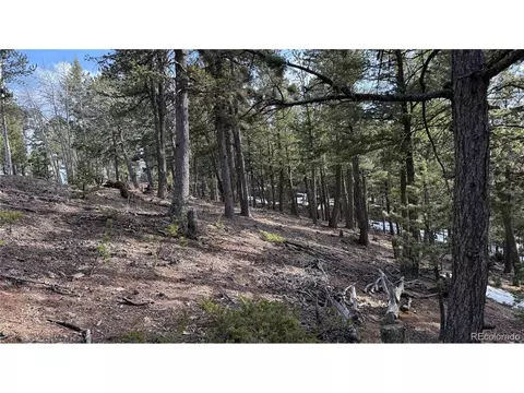 461 Paradiso Rd, Divide, CO 80814 photo 16