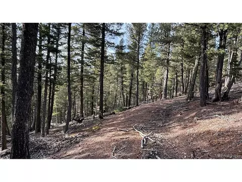 461 Paradiso Rd, Divide, CO 80814
