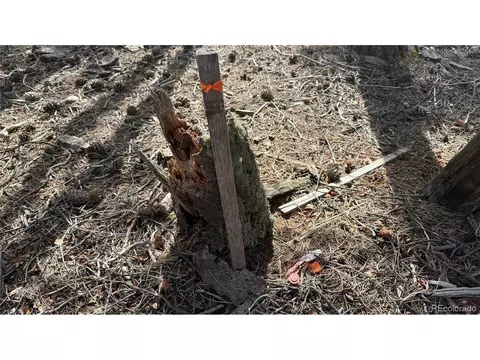 461 Paradiso Rd, Divide, CO 80814 photo 5
