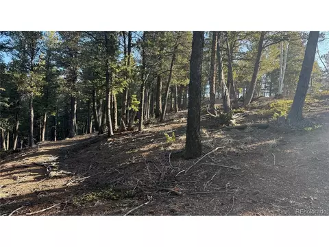 461 Paradiso Rd, Divide, CO 80814 photo 10