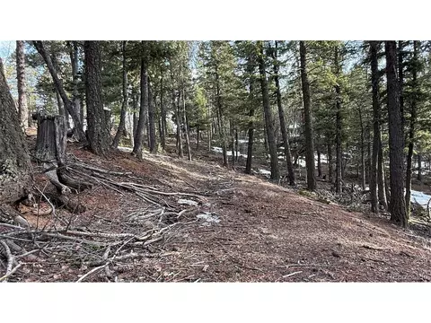 461 Paradiso Rd, Divide, CO 80814 photo 17
