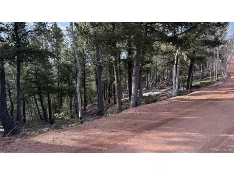 461 Paradiso Rd, Divide, CO 80814 photo 2
