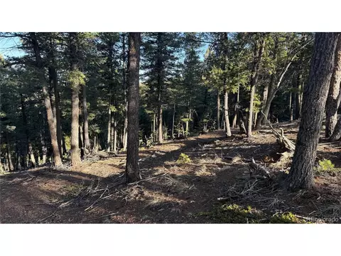 461 Paradiso Rd, Divide, CO 80814 photo 4