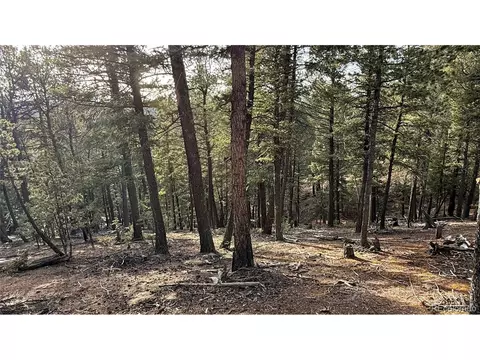 461 Paradiso Rd, Divide, CO 80814 photo 18