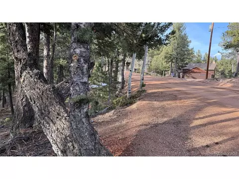 461 Paradiso Rd, Divide, CO 80814 photo 21