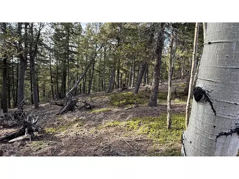 461 Paradiso Rd, Divide, CO 80814 photo 20