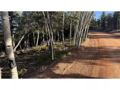461 Paradiso Rd, Divide, CO 80814 photo 13