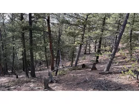 461 Paradiso Rd, Divide, CO 80814 photo 6