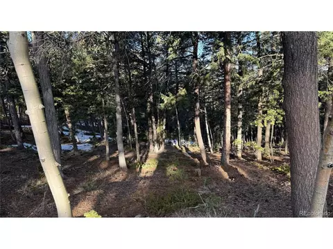 461 Paradiso Rd, Divide, CO 80814 photo 15