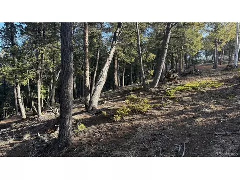 461 Paradiso Rd, Divide, CO 80814 photo 8