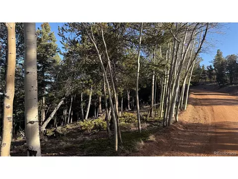 461 Paradiso Rd, Divide, CO 80814 photo 9