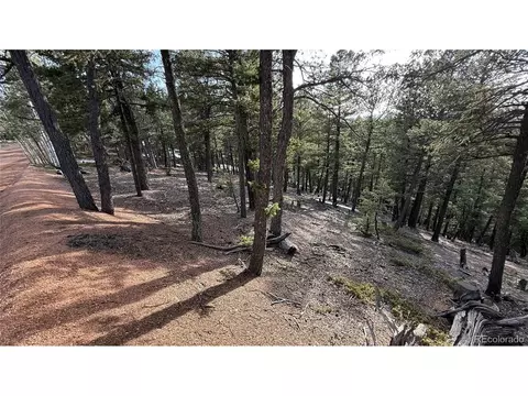 461 Paradiso Rd, Divide, CO 80814 photo 7