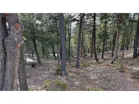 461 Paradiso Rd, Divide, CO 80814 photo 11