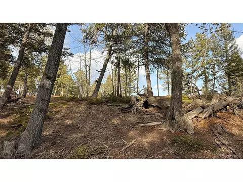 461 Paradiso Rd, Divide, CO 80814 photo 14