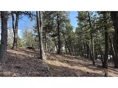 461 Paradiso Rd, Divide, CO 80814 photo 12