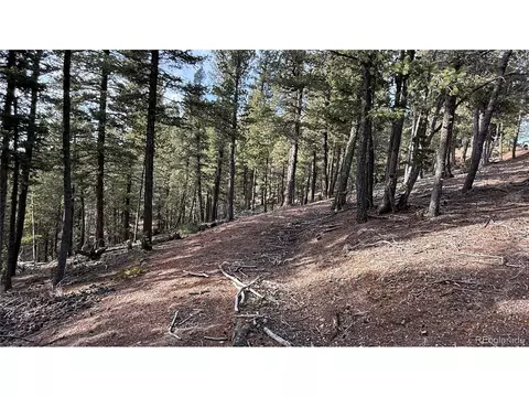 461 Paradiso Rd, Divide, CO 80814 photo 3