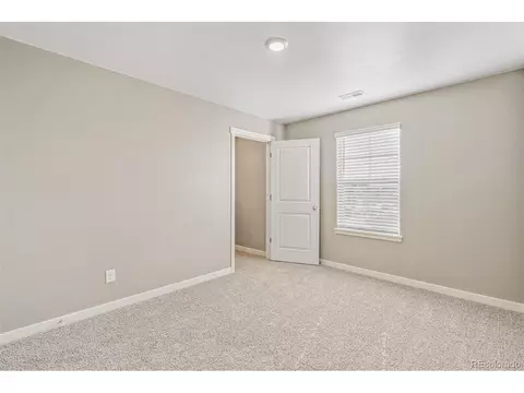 1956 Thundercloud Dr, Windsor, CO 80550 photo 29