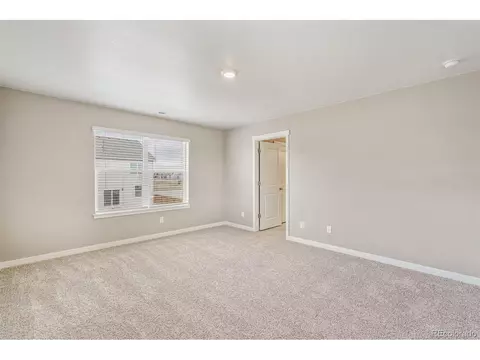 1956 Thundercloud Dr, Windsor, CO 80550 photo 24