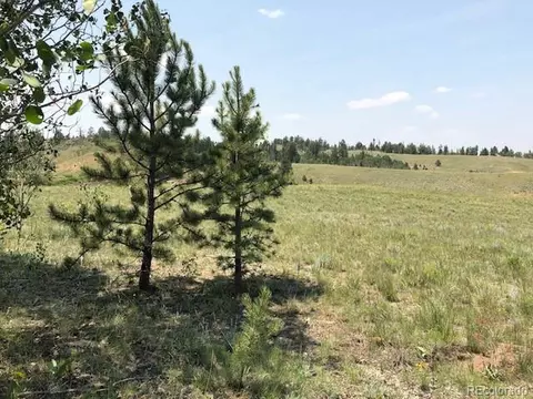 550 Aspen Trl, Hartsel, CO 80449