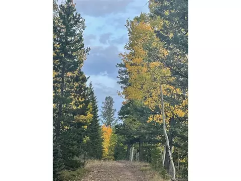 11285 Bear Run Trl, Conifer, CO 80433 photo 49
