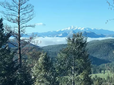 11285 Bear Run Trl, Conifer, CO 80433