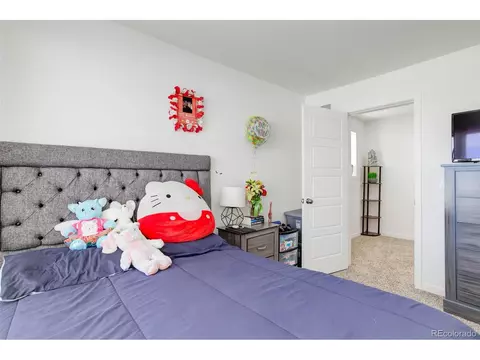 19070 E 54th Pl, Denver, CO 80249 photo 17