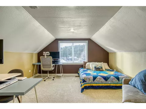 16685 County Road 126, Pine, CO 80470 photo 15