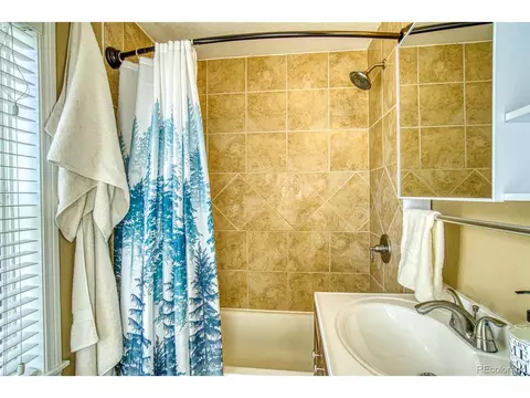 16685 County Road 126, Pine, CO 80470 photo 12