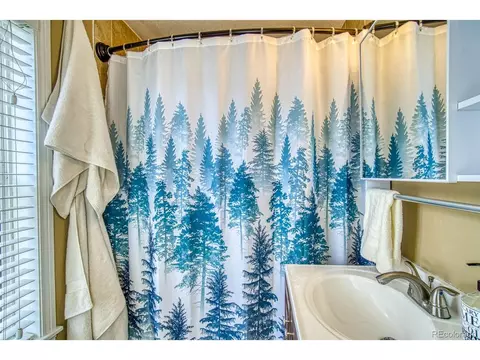 16685 County Road 126, Pine, CO 80470 photo 11