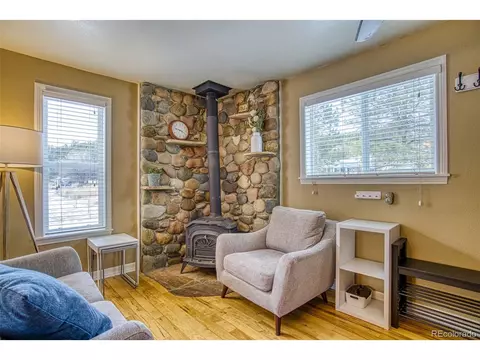 16685 County Road 126, Pine, CO 80470 photo 4
