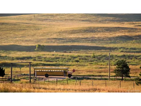 21873 Cougar Ct, Elbert, CO 80106 photo 3