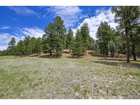21873 Cougar Ct, Elbert, CO 80106 photo 7